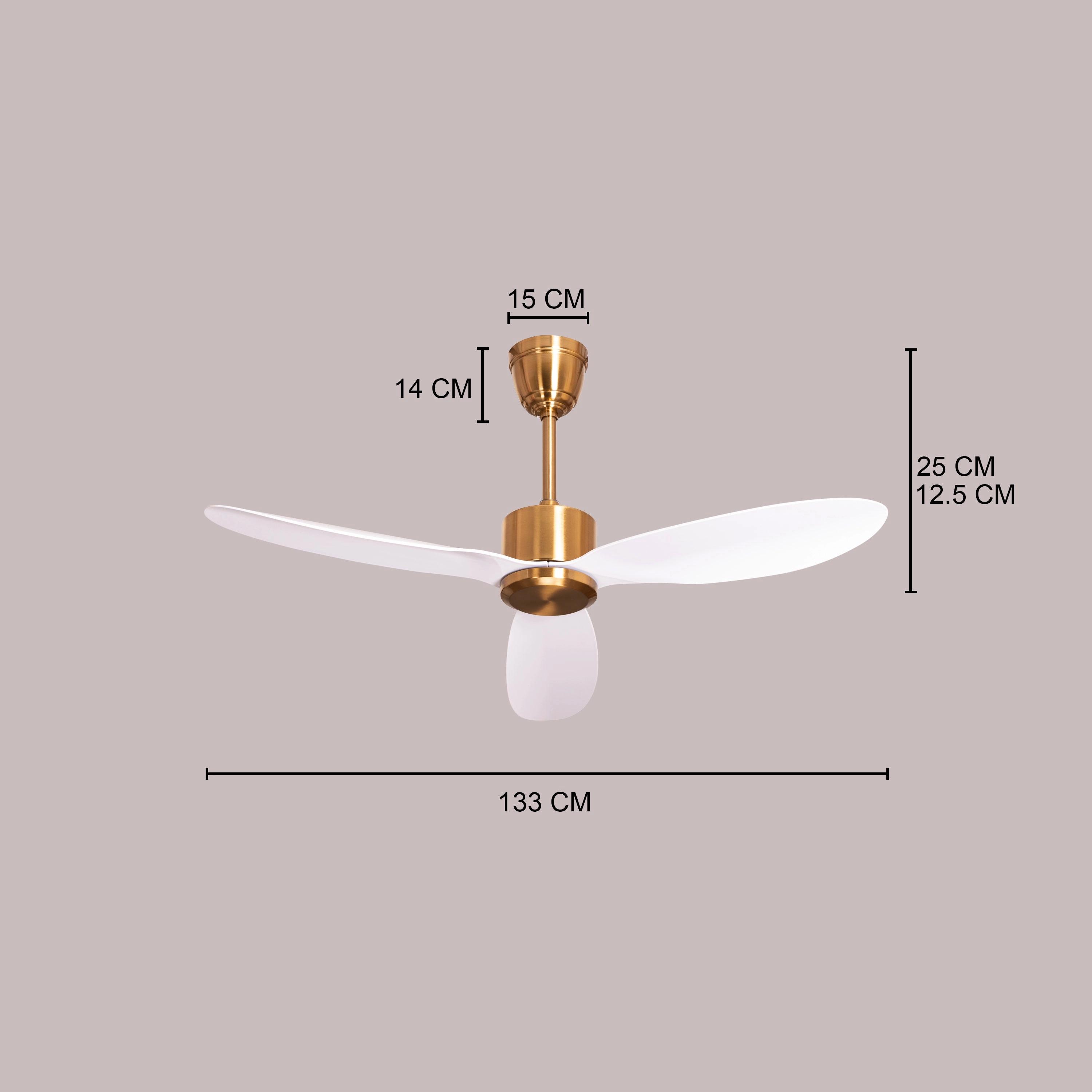 The WhiteTeak Greek Isles (133 cm Span, Gold Finish Metal Body, White Finish ABS Blades) Ceiling Fan 3