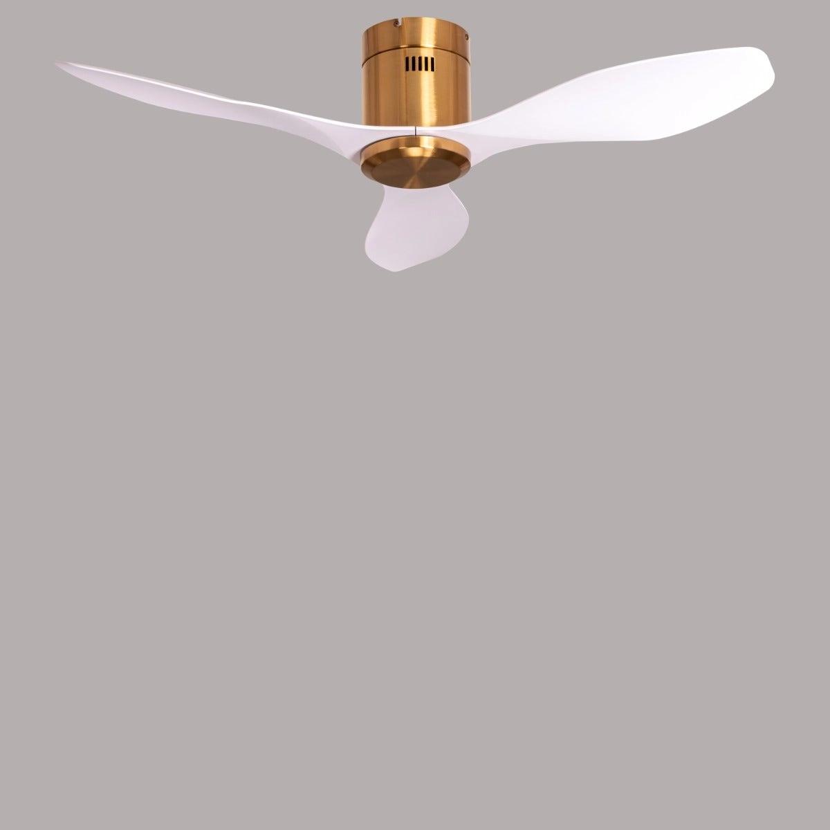 The WhiteTeak Malibu (127 cm Span, Gold Finish Metal Body, White Finish ABS Blades) Ceiling Fan 3