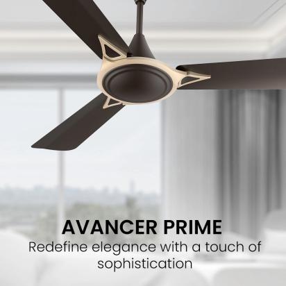Crompton Premion Avancer Prime 1 Star by Crompton : Colours available: WoodyBrown 2 1