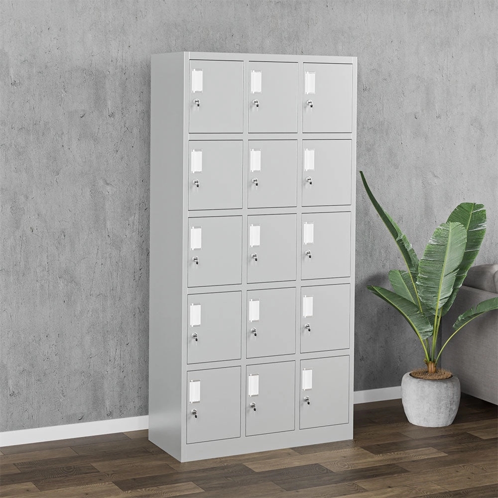 Nilkamal Magna 15 Personal Locker (Grey) by Nilkamal : Colours available: Grey