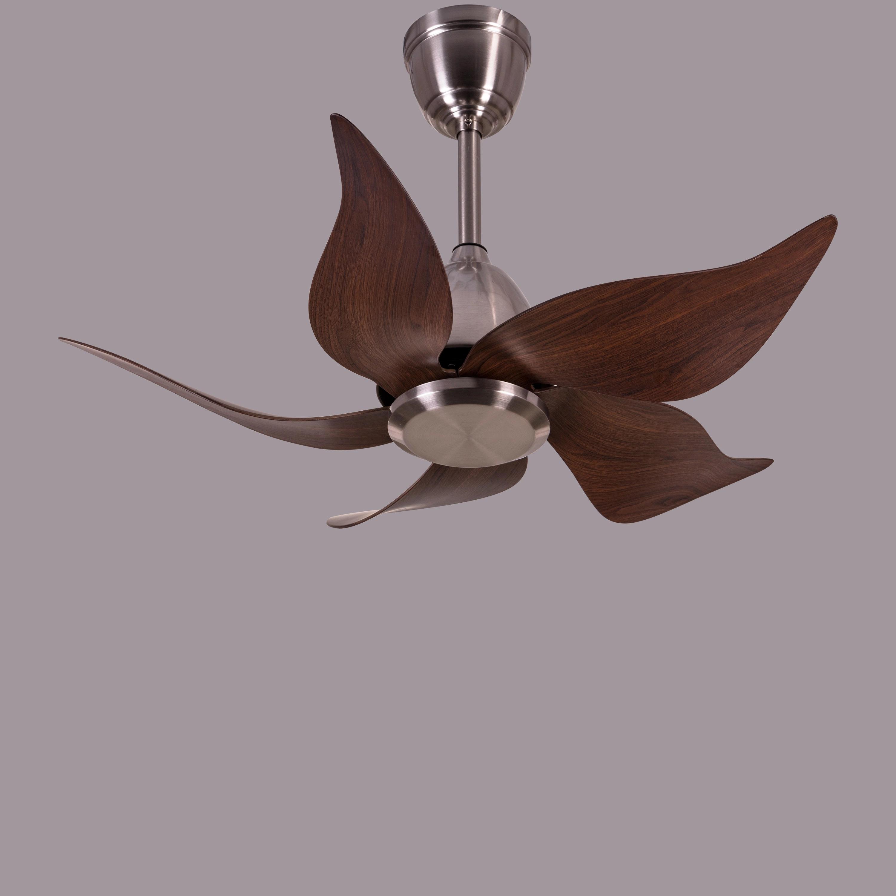 The WhiteTeak Piccadilly Circus (91 cm Span, Chrome Finish Metal Body, Walnut Finish ABS Blades) Ceiling Fan 2