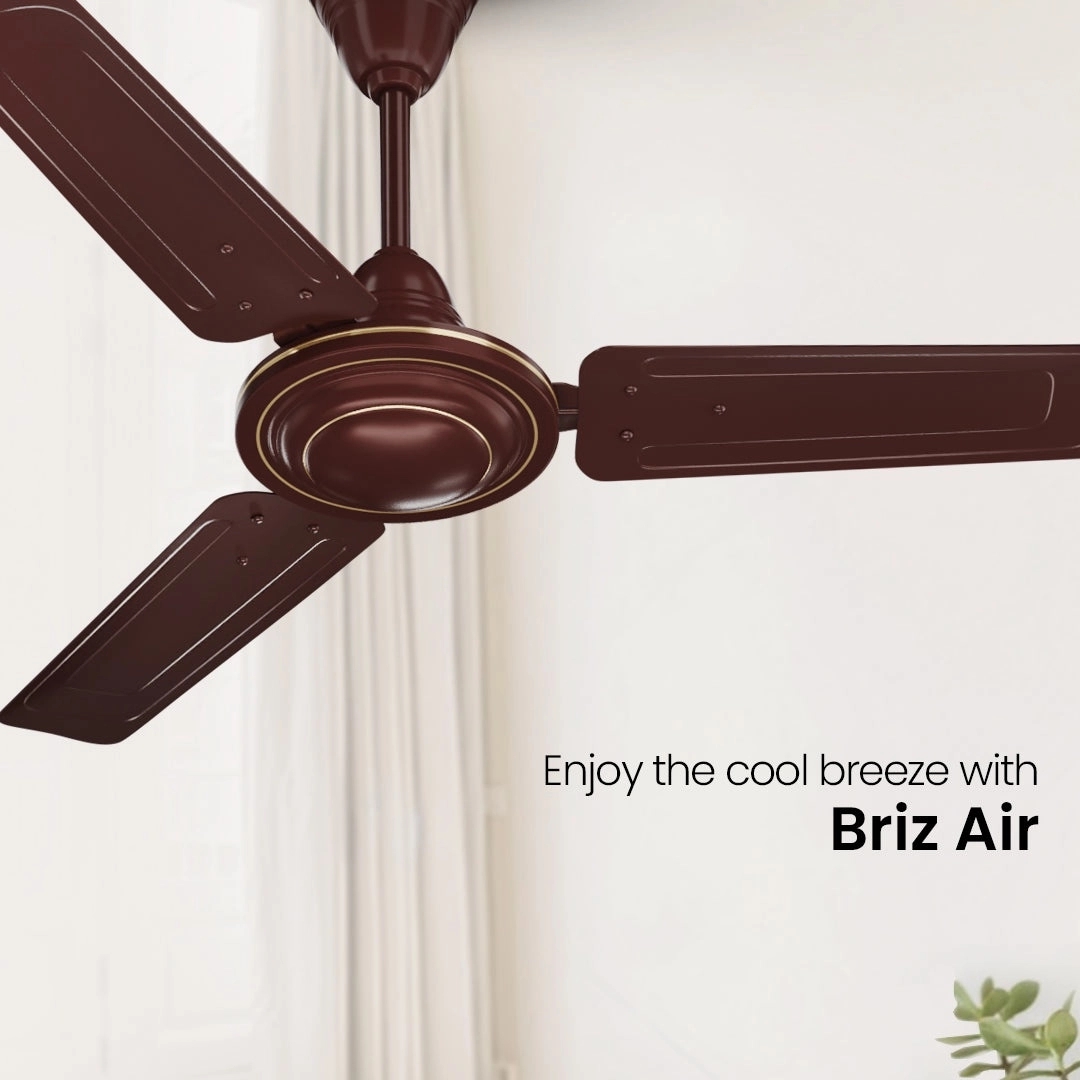 Crompton Surebreeze Brizair| Ceiling Fan - Brown by Crompton : Colours available: Brown 7 1