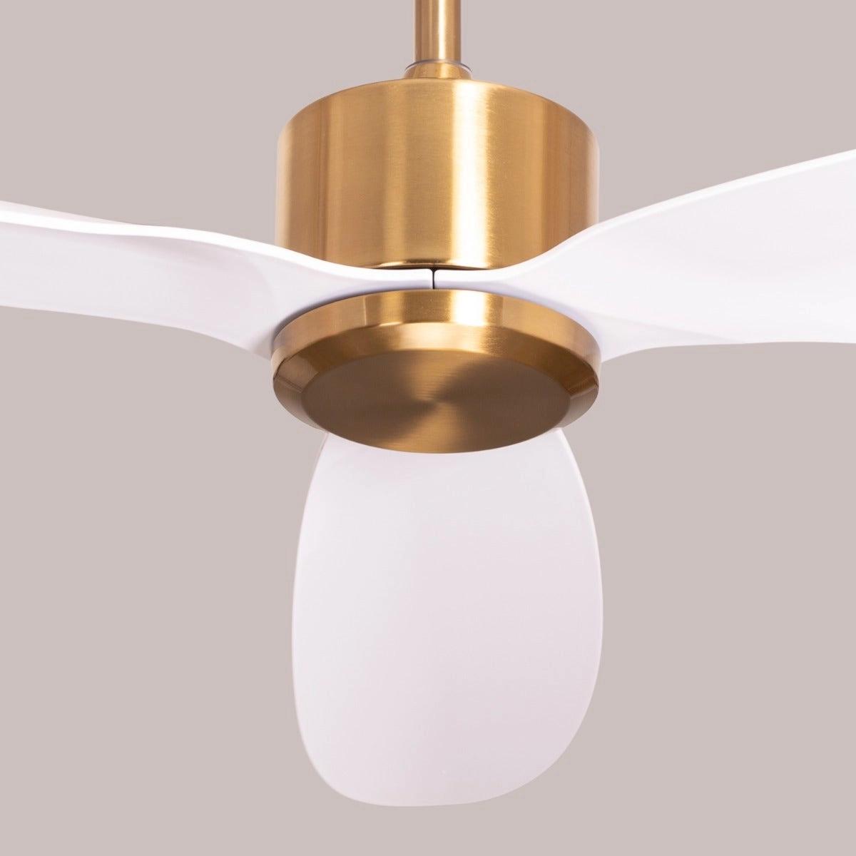 The WhiteTeak Greek Isles (133 cm Span, Gold Finish Metal Body, White Finish ABS Blades) Ceiling Fan 4