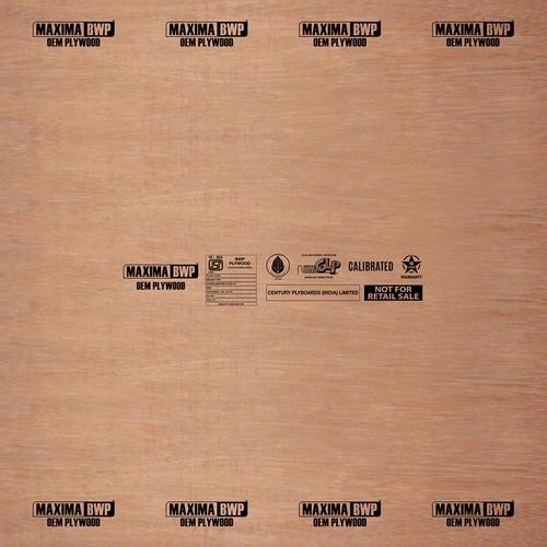Century Ply Maxima BWP by CenturyPly : Colours available: Brown 1 1
