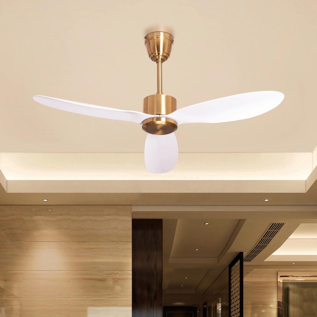 The WhiteTeak Greek Isles (133 cm Span, Gold Finish Metal Body, White Finish ABS Blades) Ceiling Fan