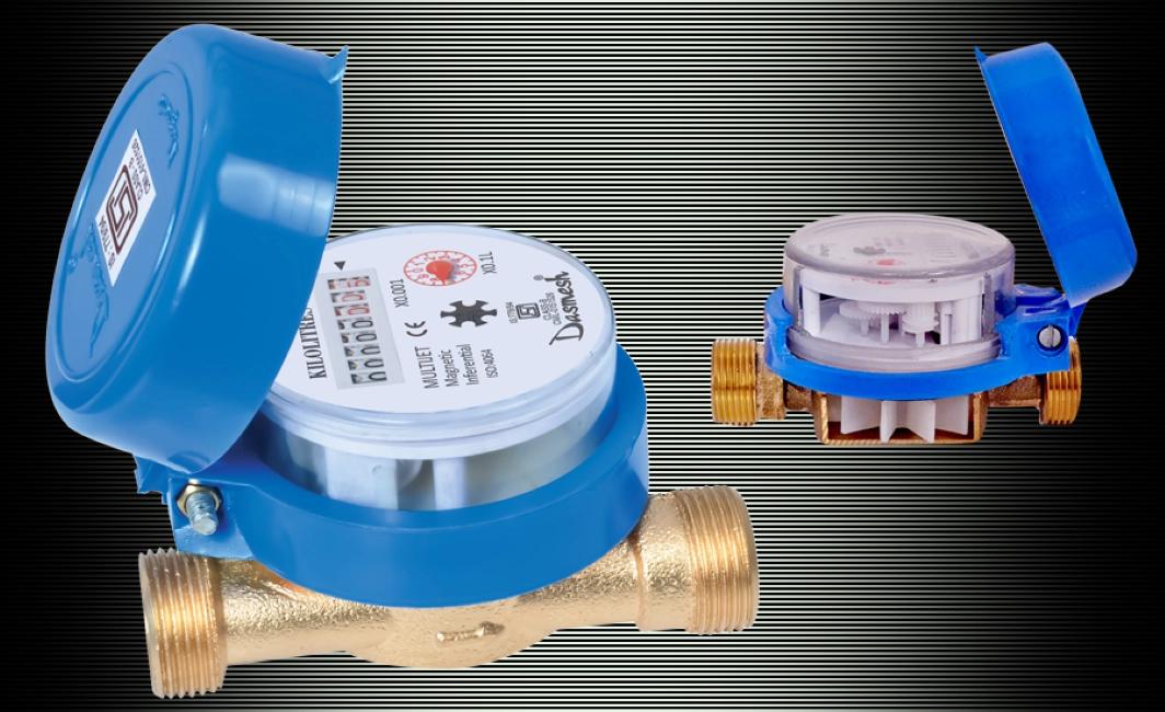Dasmesh Magnetic Driven Water Meter
