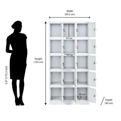 Nilkamal Magna 15 Personal Locker (Grey) by Nilkamal : Colours available: Grey 7 8