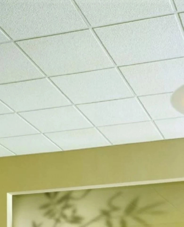 Envirotech Ceiling Acoustic Tile by Envirotech 1 1