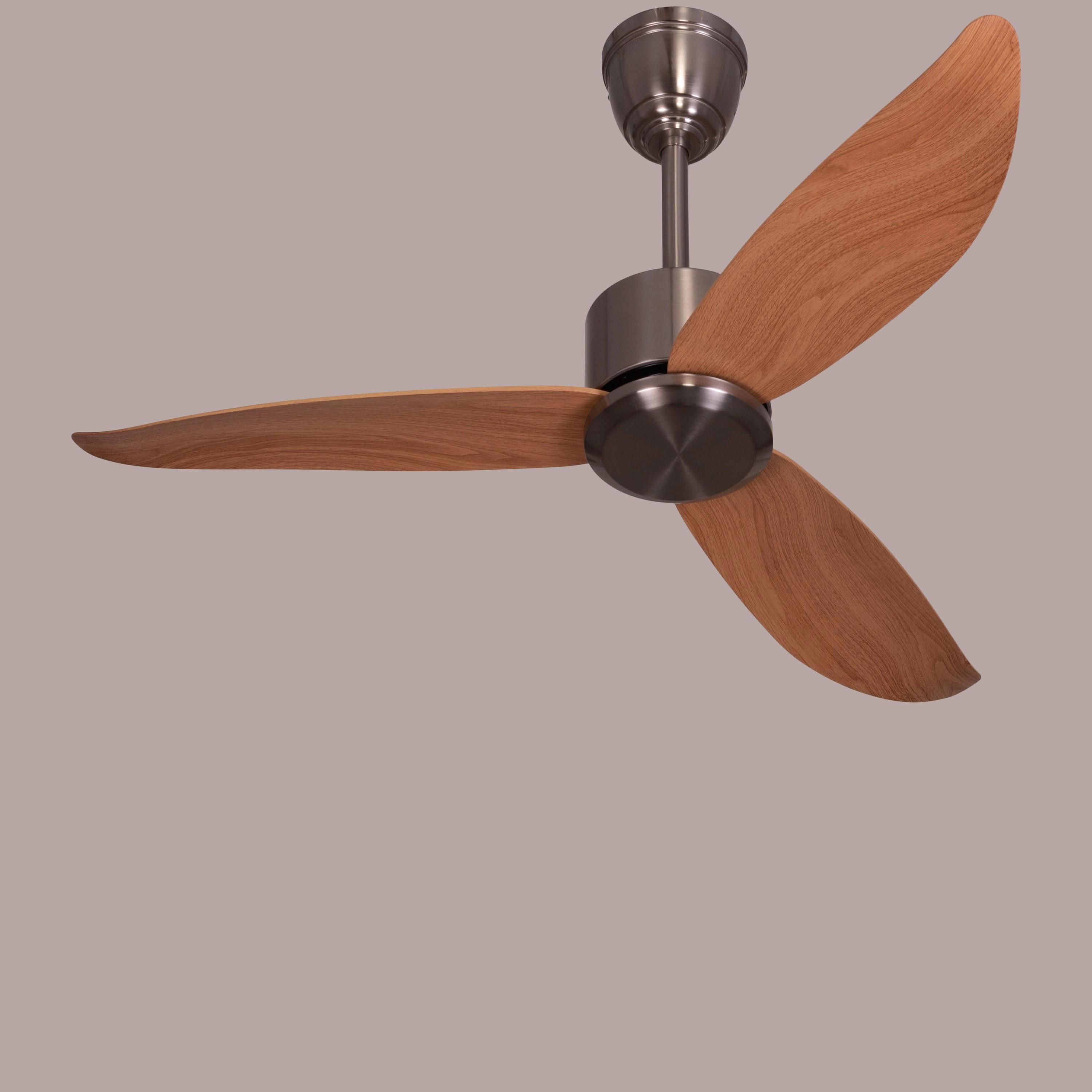 The WhiteTeak Turin (117 cm Span, Chrome Finish Metal Body, Maple Finish ABS Blades) Ceiling Fan 2