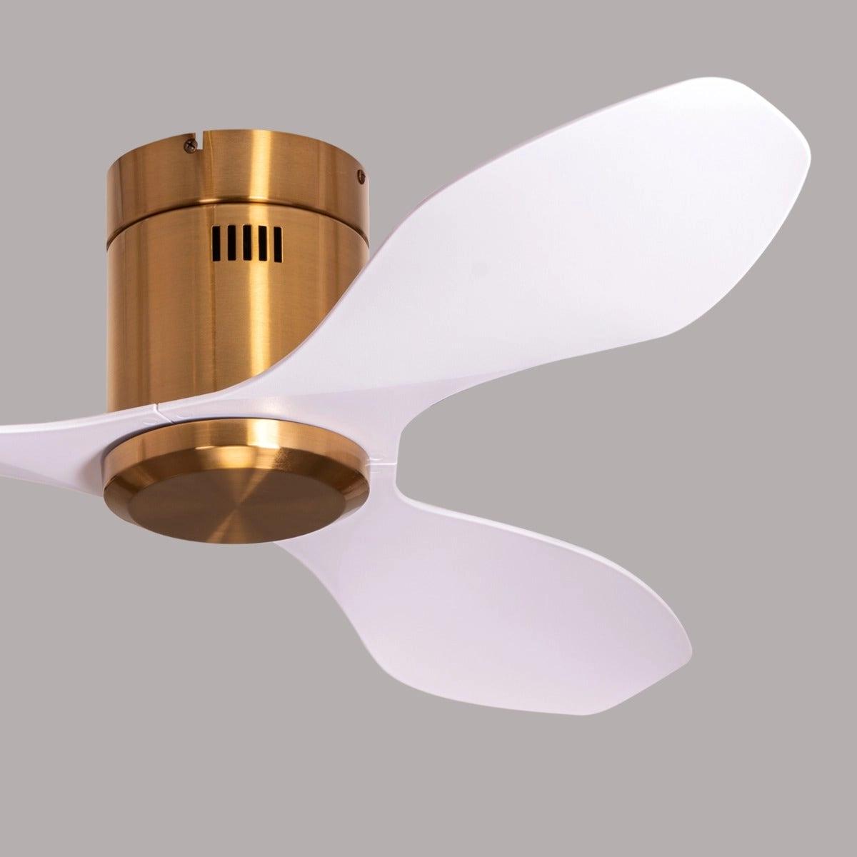 The WhiteTeak Malibu (127 cm Span, Gold Finish Metal Body, White Finish ABS Blades) Ceiling Fan 4