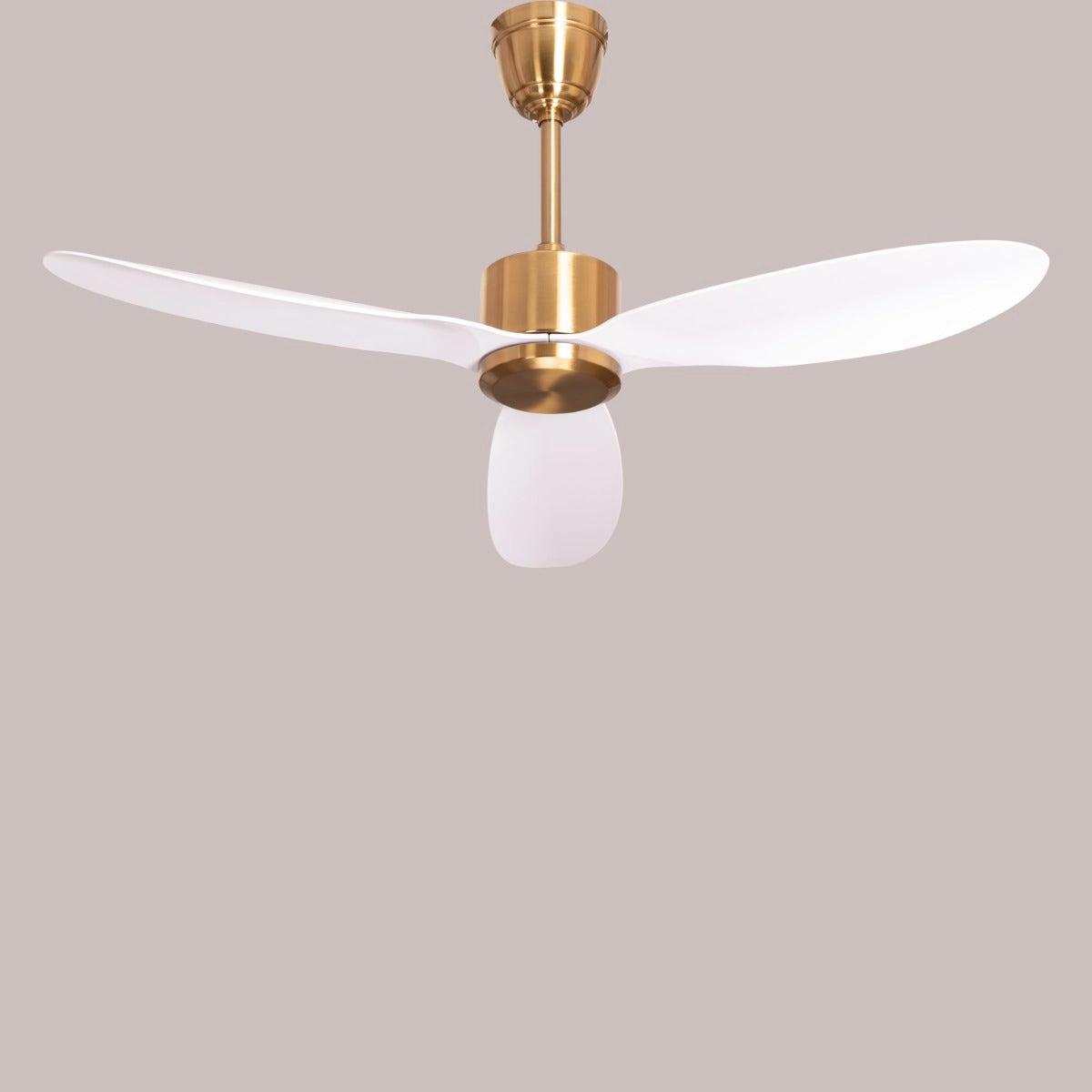 The WhiteTeak Greek Isles (133 cm Span, Gold Finish Metal Body, White Finish ABS Blades) Ceiling Fan 1