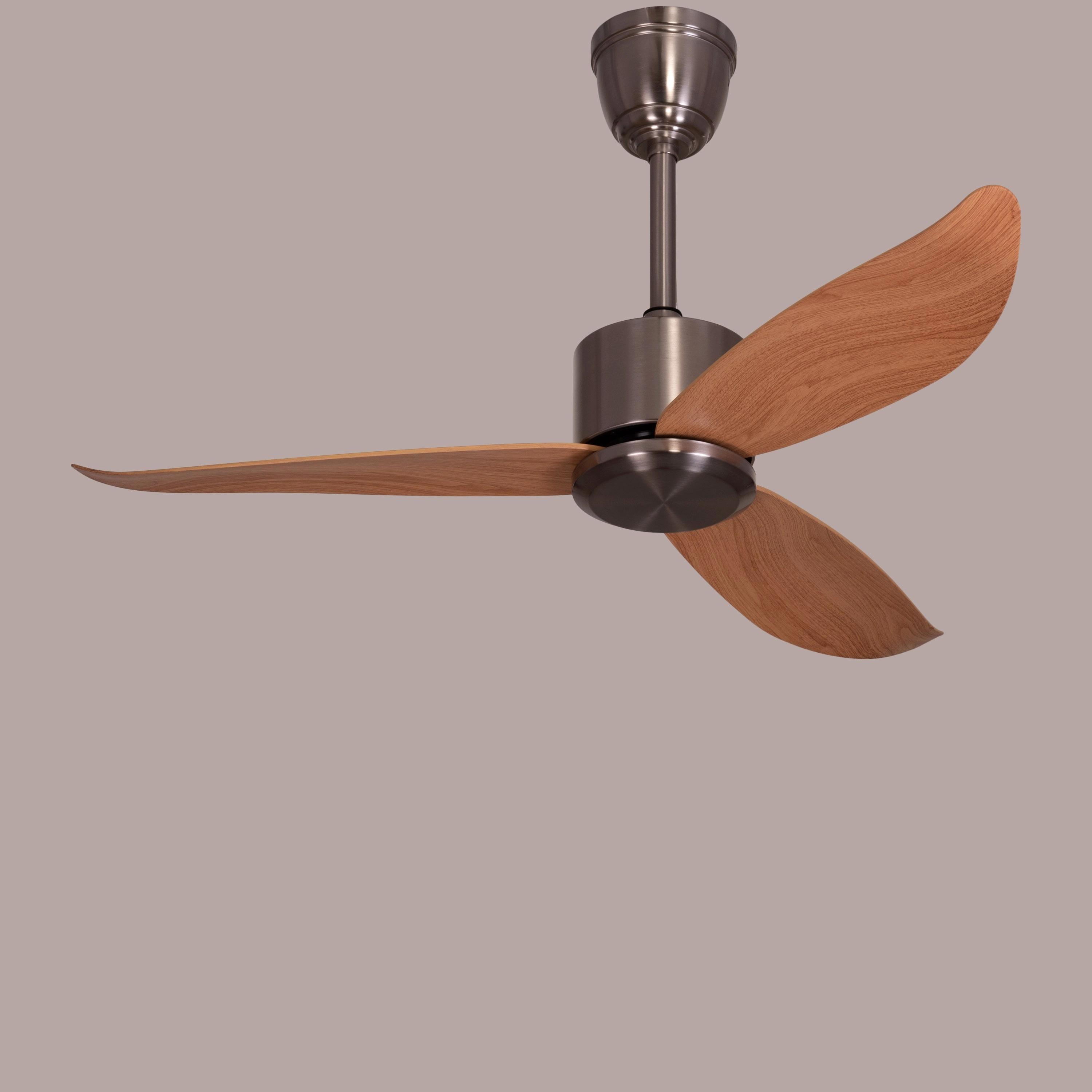 The WhiteTeak Turin (117 cm Span, Chrome Finish Metal Body, Maple Finish ABS Blades) Ceiling Fan 3