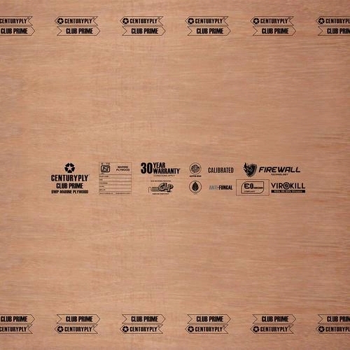 Century Ply Club Prime by CenturyPly : Colours available: Brown 1 1