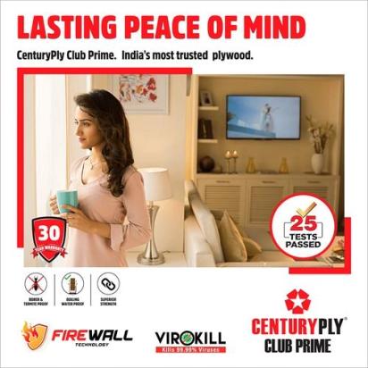 Century Ply Club Prime by CenturyPly : Colours available: Brown 2 2