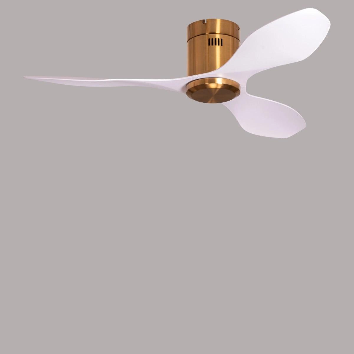 The WhiteTeak Malibu (127 cm Span, Gold Finish Metal Body, White Finish ABS Blades) Ceiling Fan 1