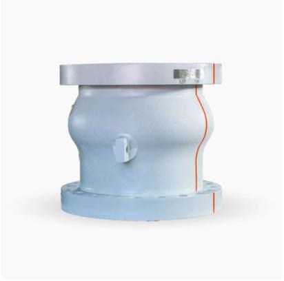 Flovel Nozzle Check Valve by Flovel