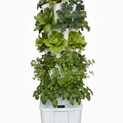 Phooldaan Lotus 30: Aeroponics, Hydroponics Vertical Garden Tower by Phooldaan : Colours available: White 3 2
