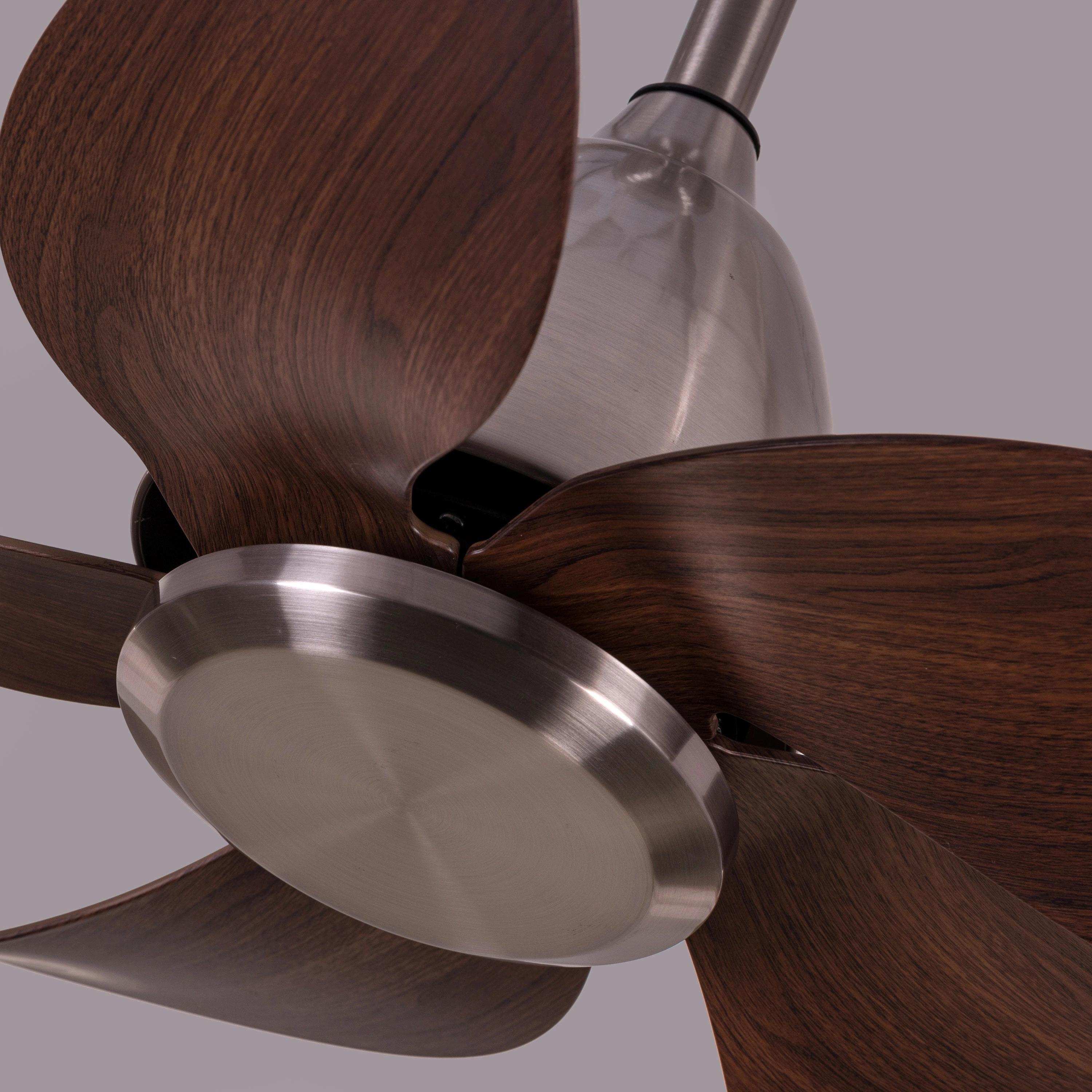 The WhiteTeak Piccadilly Circus (91 cm Span, Chrome Finish Metal Body, Walnut Finish ABS Blades) Ceiling Fan 4