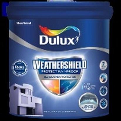 Dulux Weathershield Protect Rainproof Paint by Dulux for Exterior